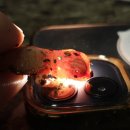 알비노랩 이미지