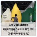 용두골마을태양광 | 수원 국립농업박물관 어린이박물관 예약 방법 5세 아이 체험 후기