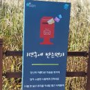 이동원의 가을 편지 | 명성산 억새꽃 후기