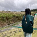 떡볶이창고 - 용인시 기흥구 죽현로 31 | 떡볶이창고
