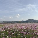 낙동강변10 이미지