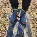 내유농장 | 경량 안전장화 추천, 시골 농장 필수템 엘크루 요딩 TS-603 리얼 후기