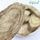 지리산 굼벵이 이미지