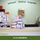종합동물병원위드펫 네이버블로그