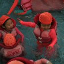 여름캠프 ＜ 하피랜드 워터파크 ＞ 이미지