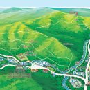 남해편백자연휴양림(남해) 이미지