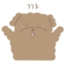 멍멍드림 이미지