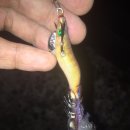 해수피아 이미지