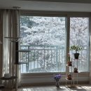 딜부동산중개 | 생애최초 매매 부동산 계약 후기-1