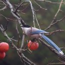산골이야기 이미지