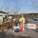 판이농장 이미지