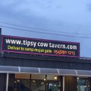 팁시카우 이미지