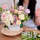 진원플라워 | 의정부 꽃집 실내데이트 플라워 원데이클래스 후기