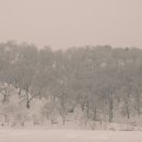 현암리 돌담집 이미지