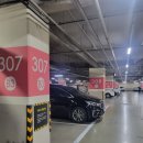 나인스스크린골프존 이미지