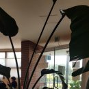 금구 어린이공원 이미지