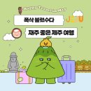 오션 아레나 | 아쿠아플라넷 제주 아쿠아리움과 오션 아레나 공연 후기