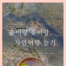 다이루세 이미지