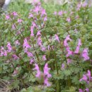 바울농장 이미지