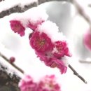 광양뉴스(주) 이미지