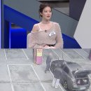 대한민국세차장 이미지