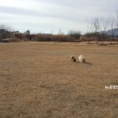 황룡친수공원 이미지