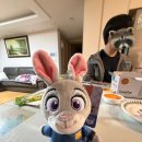 야무진태권도 | 끝과 시작의 연장선🌷