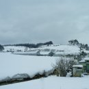 삼양목장 이미지