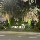 토다게스트 | 제주공항 근처 게스트하우스 가성비 숙소 뚜벅이 여행 추천 동문시장 파티없는 토다게스트하우스 후기