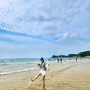 만대 | 태안 만리포해수욕장 횟집30여가지 스끼다시와 서비스 물회 매운탕까지 내돈내산 만대회수산 후기