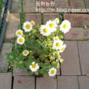 동화조경농원 이미지