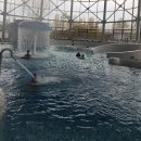 아산온천로 | 충남 아산 온천여행 파라다이스도고 스파에서 힐링 제대로 한 후기