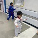 용인대KAT태권도 이미지