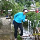 민들레 농장 이미지