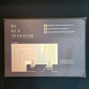 깃든 | [전시] 국립익산박물관 특별전 <탑이 품은 칼, 미륵사에 깃든 바람> 관람 후기~!