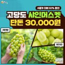 샤인호스트