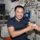 SPACE BODY 이미지