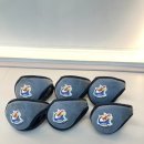 국가대표 태비태권도 이미지