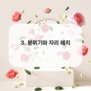 몽참치