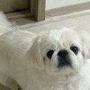 (주)동해SK텔래콤 | 일상 | 방심할 틈이 없던 한 주