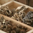 백두대간약초마을 이미지