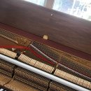 SC은행부산점 이미지