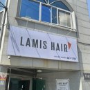 라미스헤어계대 이미지