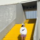 영주시민운동장 테니스장 예약 이용 후기