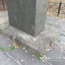 대구부수성비 이미지