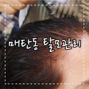 올가드림헤어 이미지