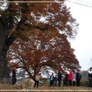 제15차 교동사랑회 정기답사를 엽니다 이미지