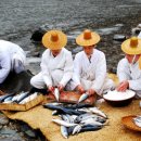 안동간고등어 이미지