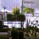 한일당구장 이미지