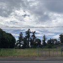 소사목장 이미지